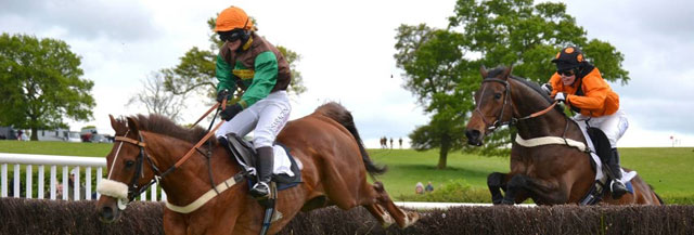 Win a pair of club badges for the AGA lady riders point-to-point ...