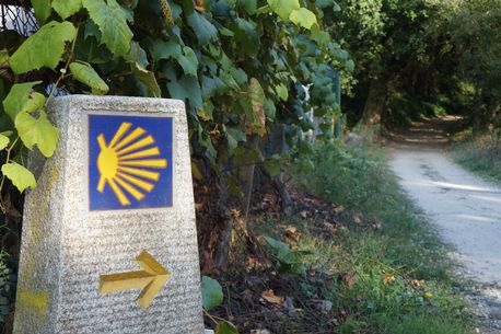 Win a coastal Camino walk worth €1,400