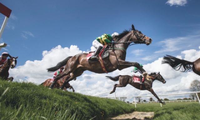 Win Tickets to the 2019 Irish Jump Racing Festival at Punchestown Racecourse