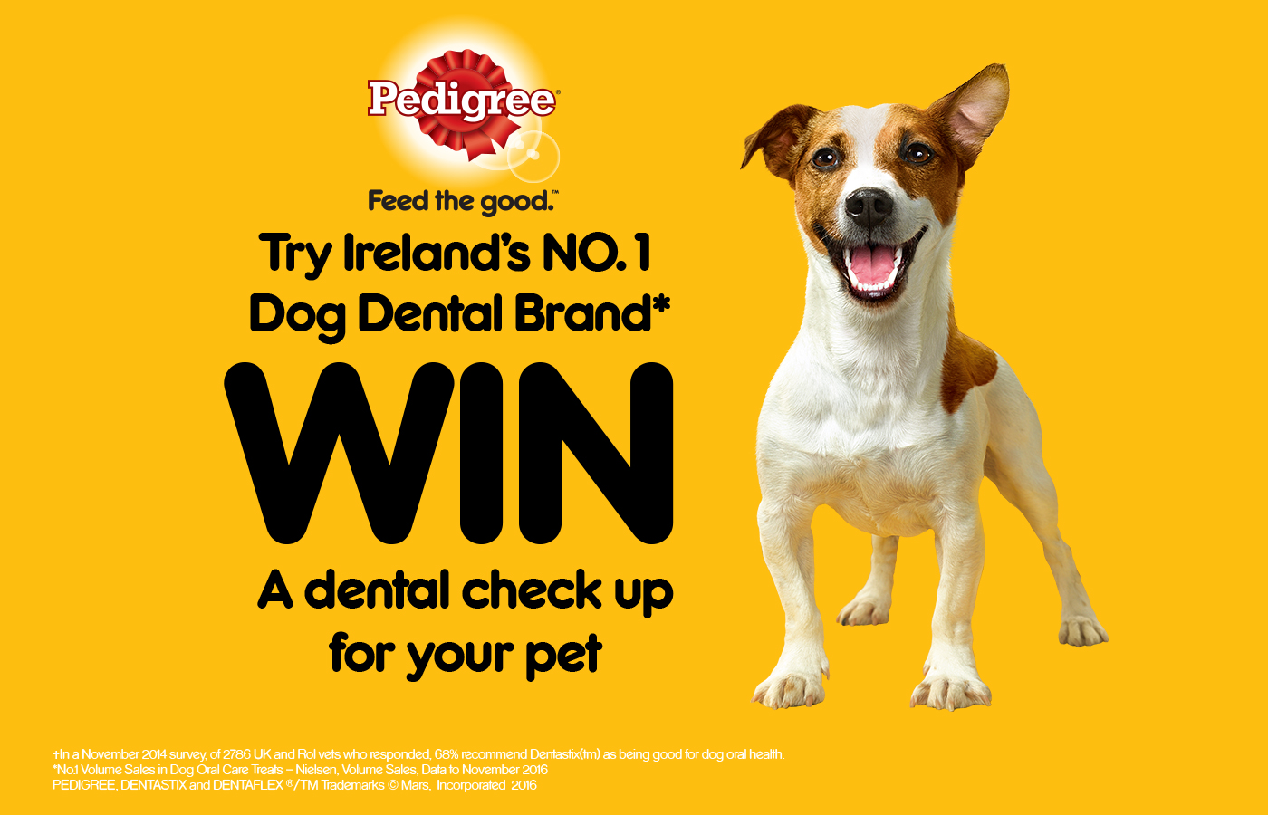 Be in with The Chance to Win a Dental Check Up for your Pet with Pedigree